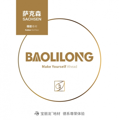 萨克森系列